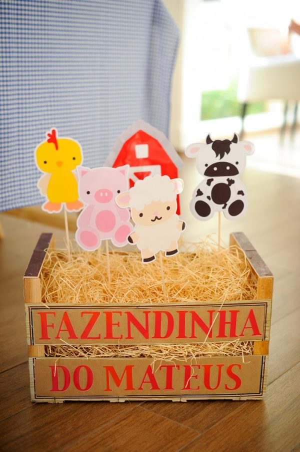 Festa Fazendinha do Mateus