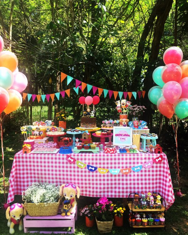 Picnic Patrulha Canina