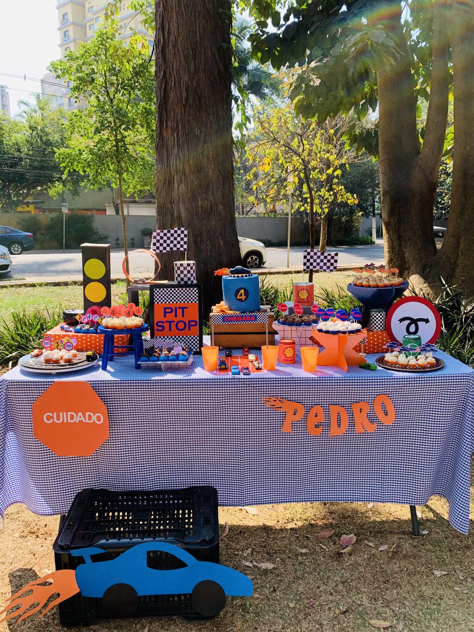 Festa Hot Wheels