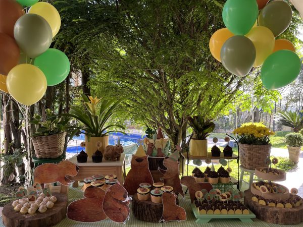 Festa Capivara
