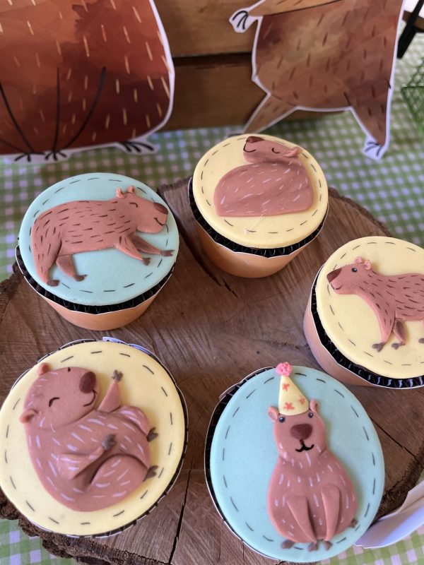 Festa Capivara