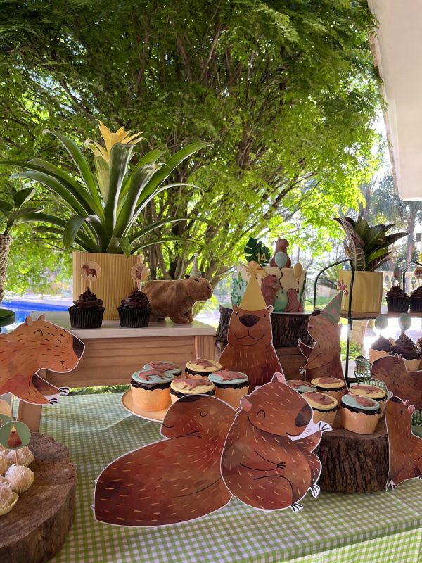 Festa Capivara