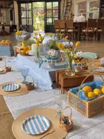 Picnic da Paula no tema